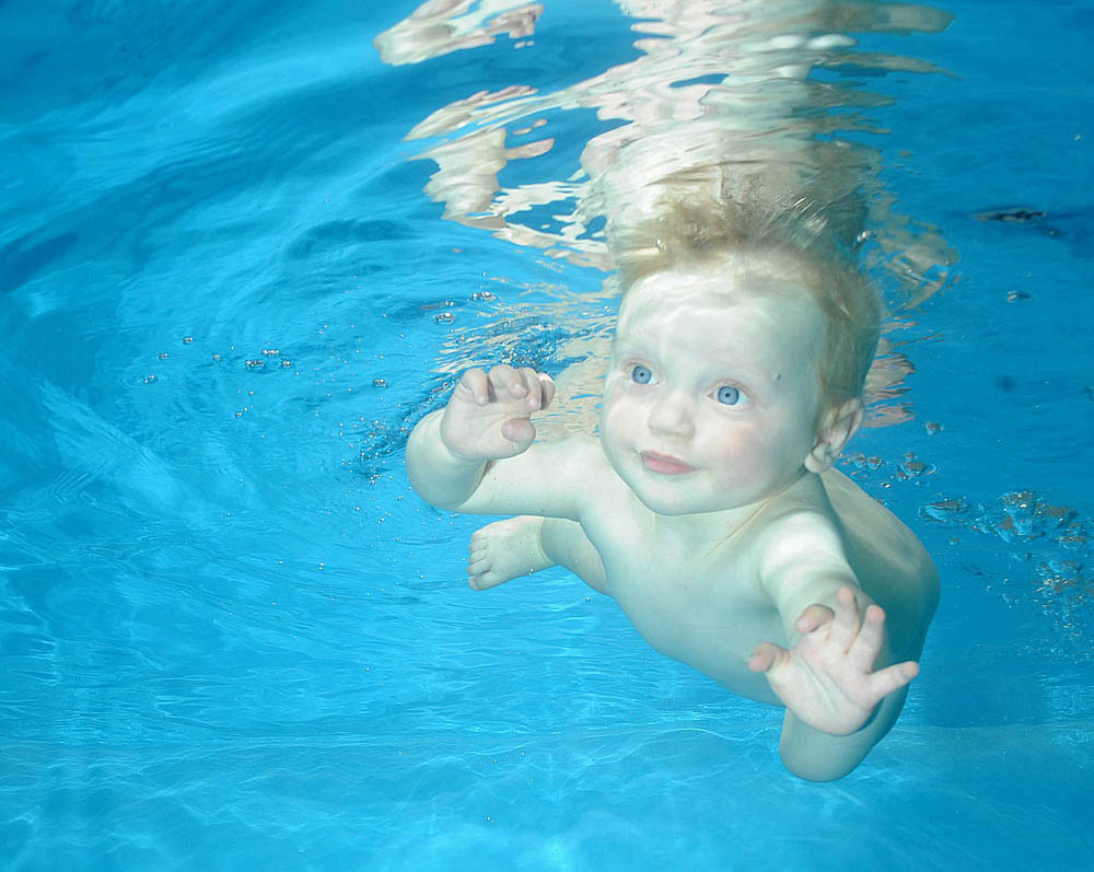 Младенцы под водой. ( Phil Shaw)
