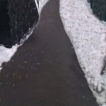 Власти Москвы чистят дорожки от снега с помощью «фотошопа»