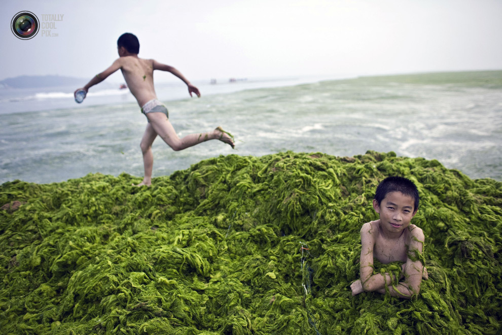 Загрязнение воды в Китае