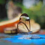 Фантастические фотографии стеклянных бабочек