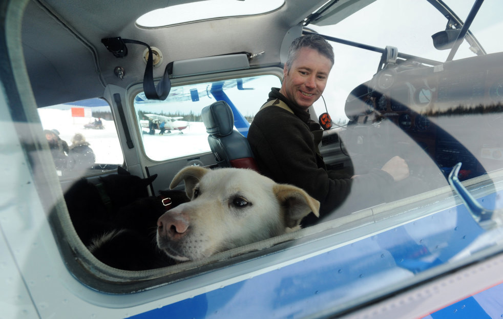 Гонка на собачьих упряжках  «Iditarod» 2013 