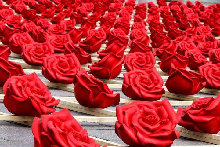 Тысяча роз