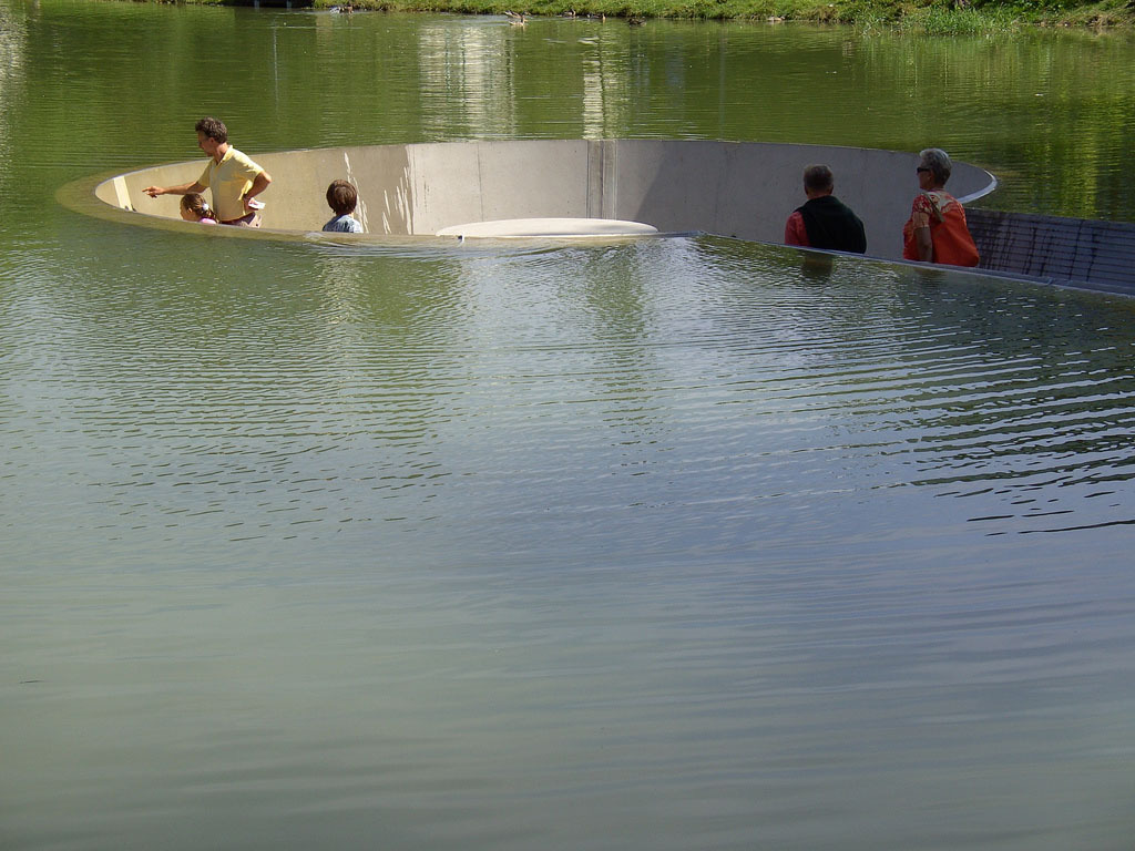 "Затонувшая" площадка в озере. (Фото: Roland Barthofer)