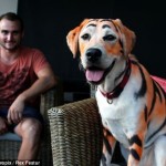 Собака в образе тигра
