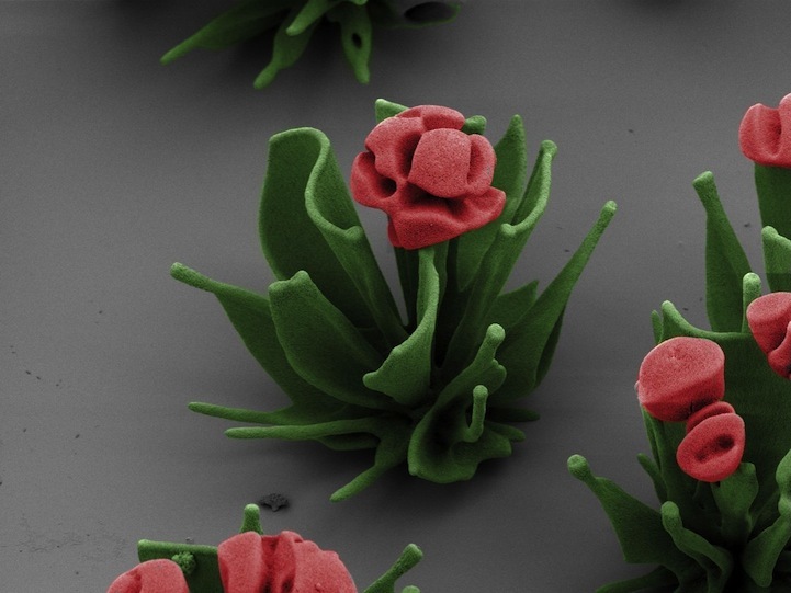 Микроскопические цветы из кристаллов 