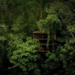 Уникальная коммуна на деревьях в Коста-Рике