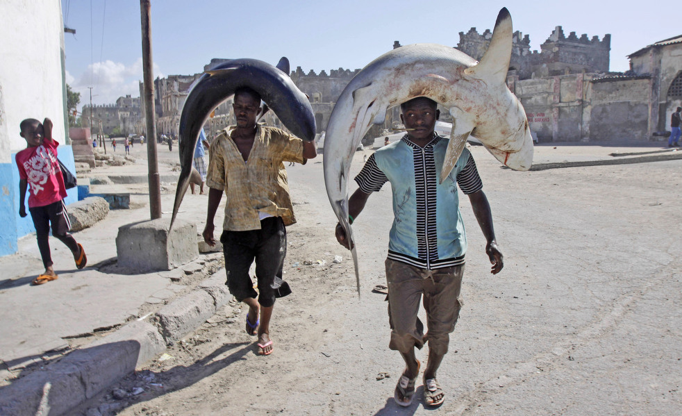 Сомалийские рыбаки