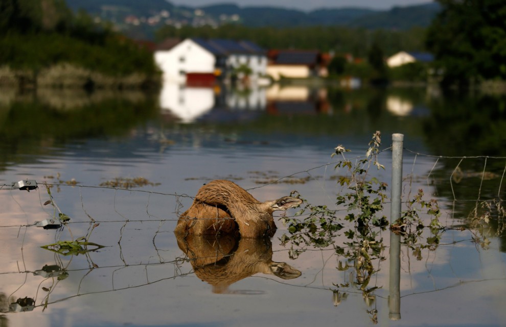 Наводнения в Европе, июнь 2013