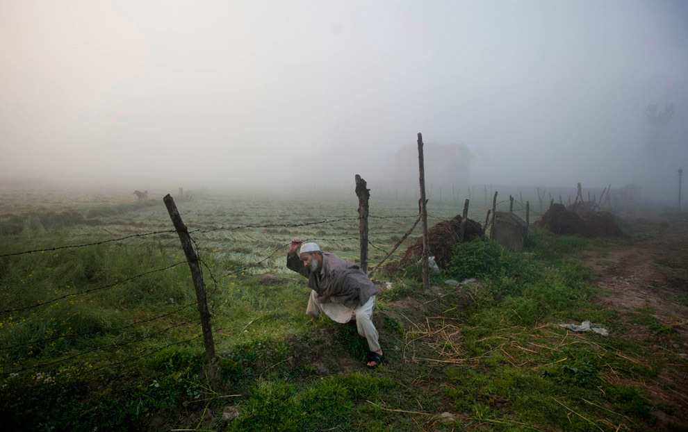Кашмирский фермер