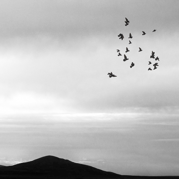 Захватывающие черно-белые фотографии Исландии