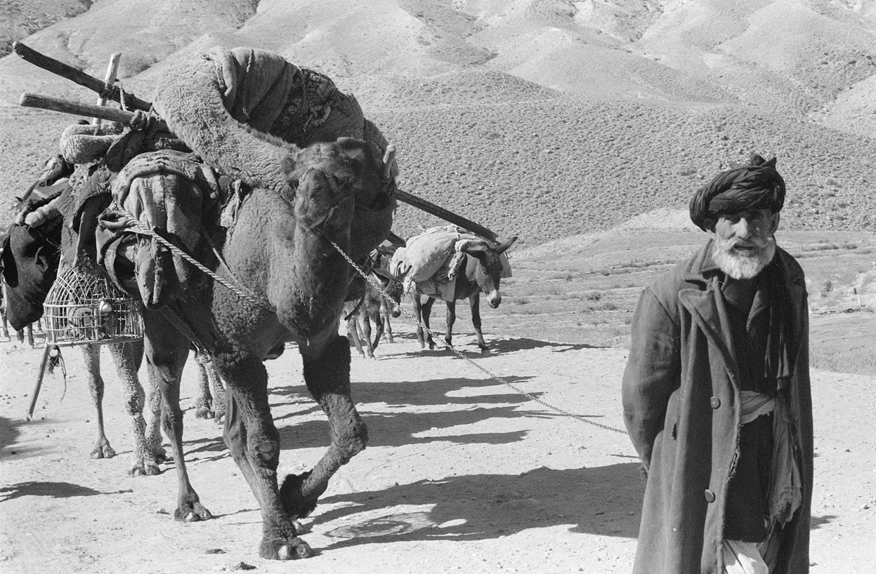афганистан 50 60 годов фото
