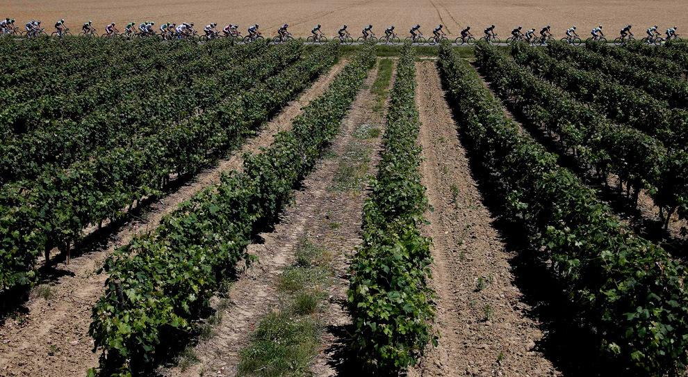 Велогонка «Тур де Франс» 2013