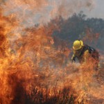 Лесной пожар Silver Fire в Калифорнии