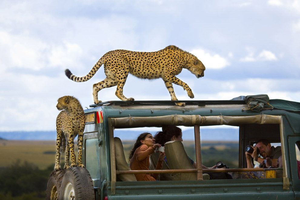 Победители фотоконкурса National Geographic Traveler 2013