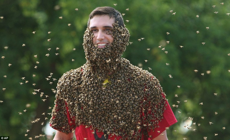 Пчелиная борода