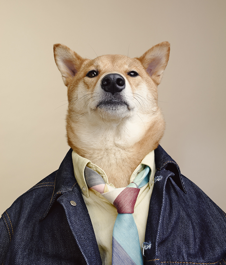 Menswear Dog: самый модный пёс интернета