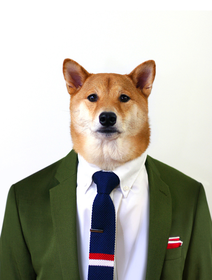 Menswear Dog: самый модный пёс интернета