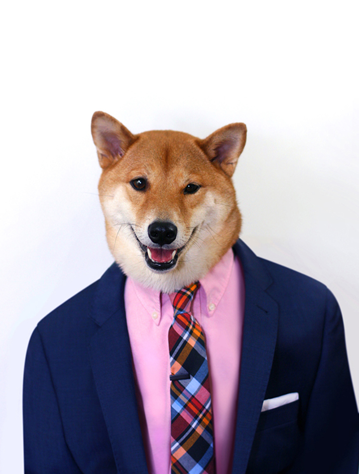 Menswear Dog: самый модный пёс интернета