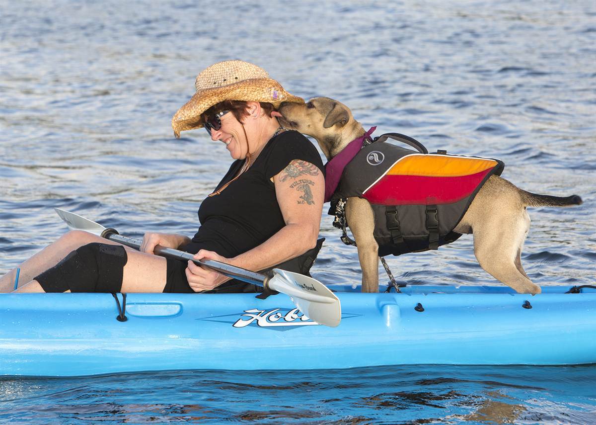 На лодке с собакой