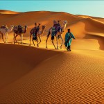 Золотые пески Сахары