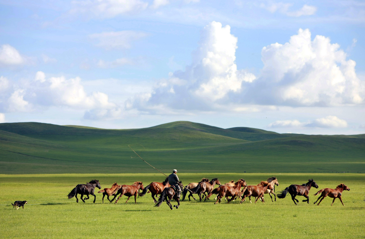 Казахстан степь Юрты лошади