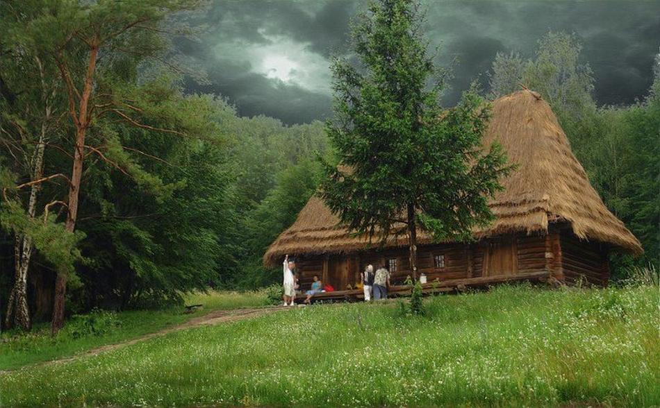 Дом в лесу