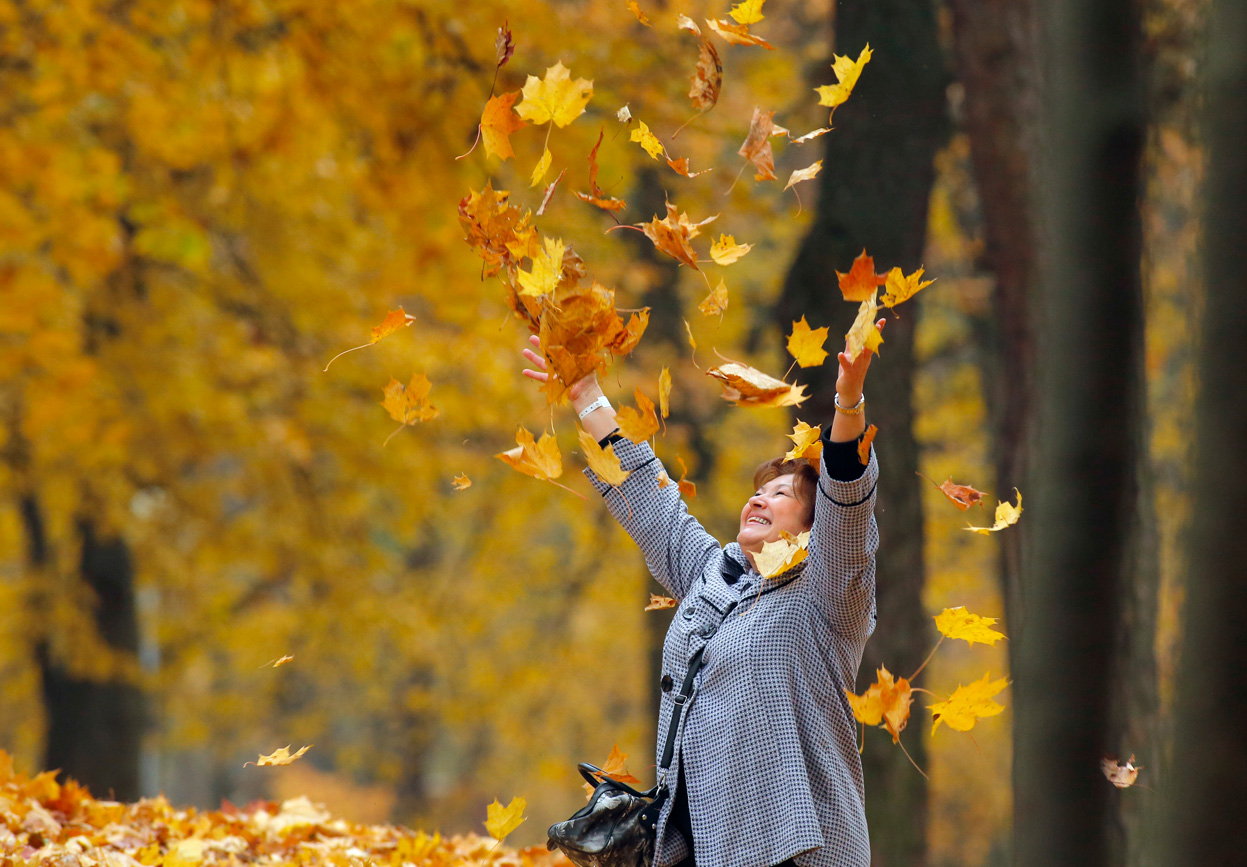 фотографии с листьями осенью