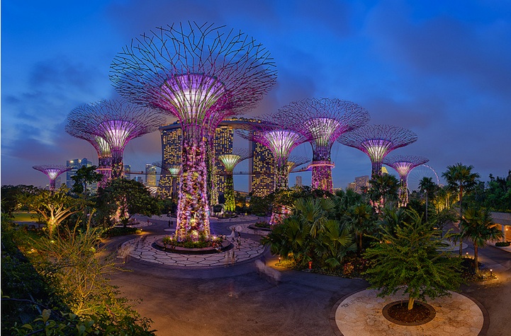 Сюрреальные фотографии супер-деревьев в Сингапуре
