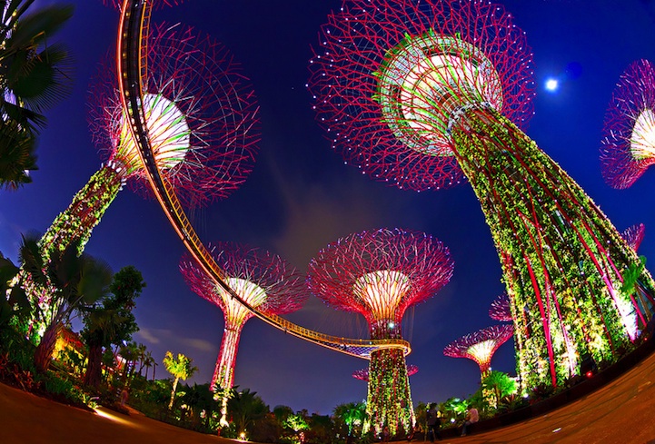 Сюрреальные фотографии супер-деревьев в Сингапуре