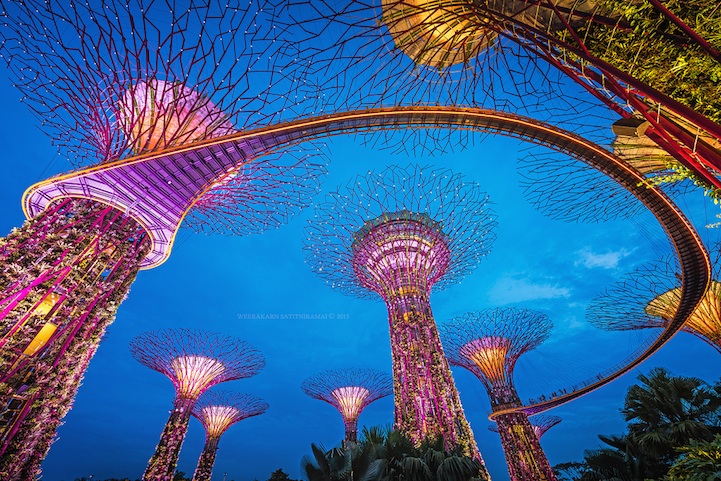 Сюрреальные фотографии супер-деревьев в Сингапуре 