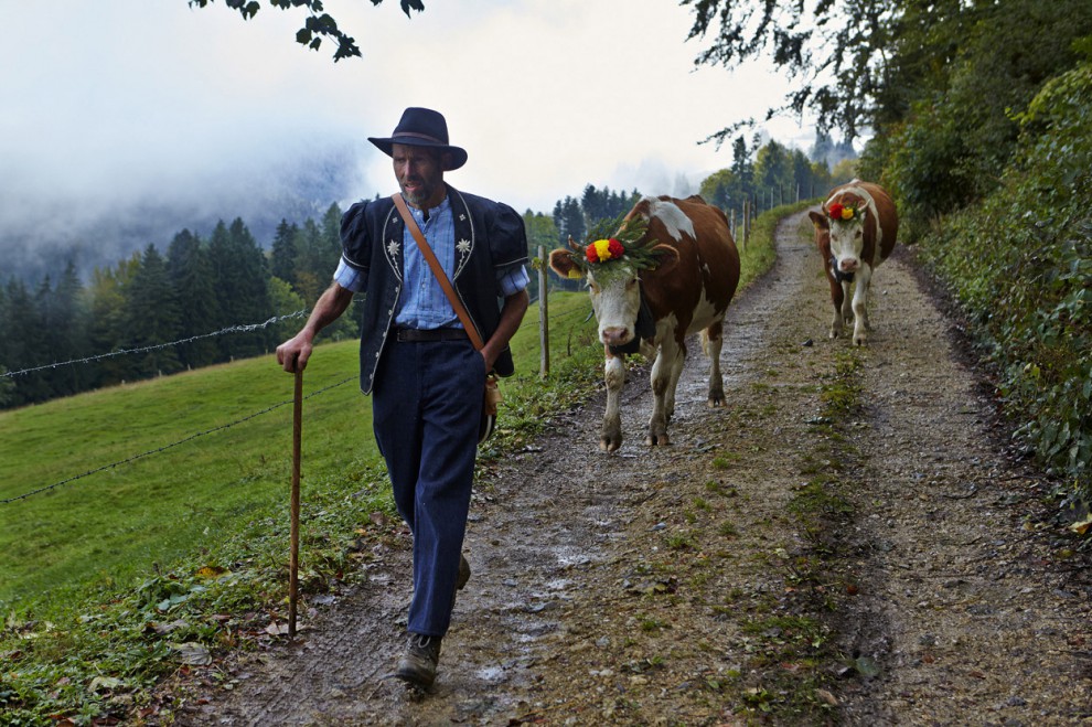 Швейцарский фермер