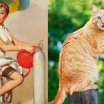 Кошки и девушки в стиле пинап