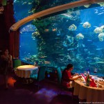 Ресторан в аквариуме