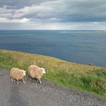 Виртуальное путешествие по Исландии