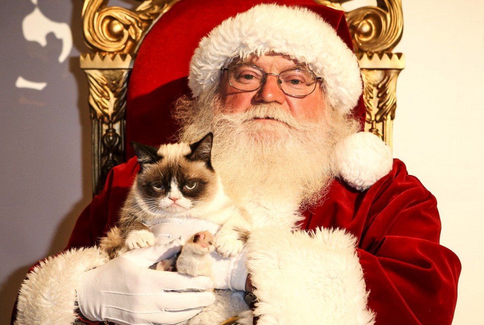 Санта-Клаус и «Сердитый Котик»