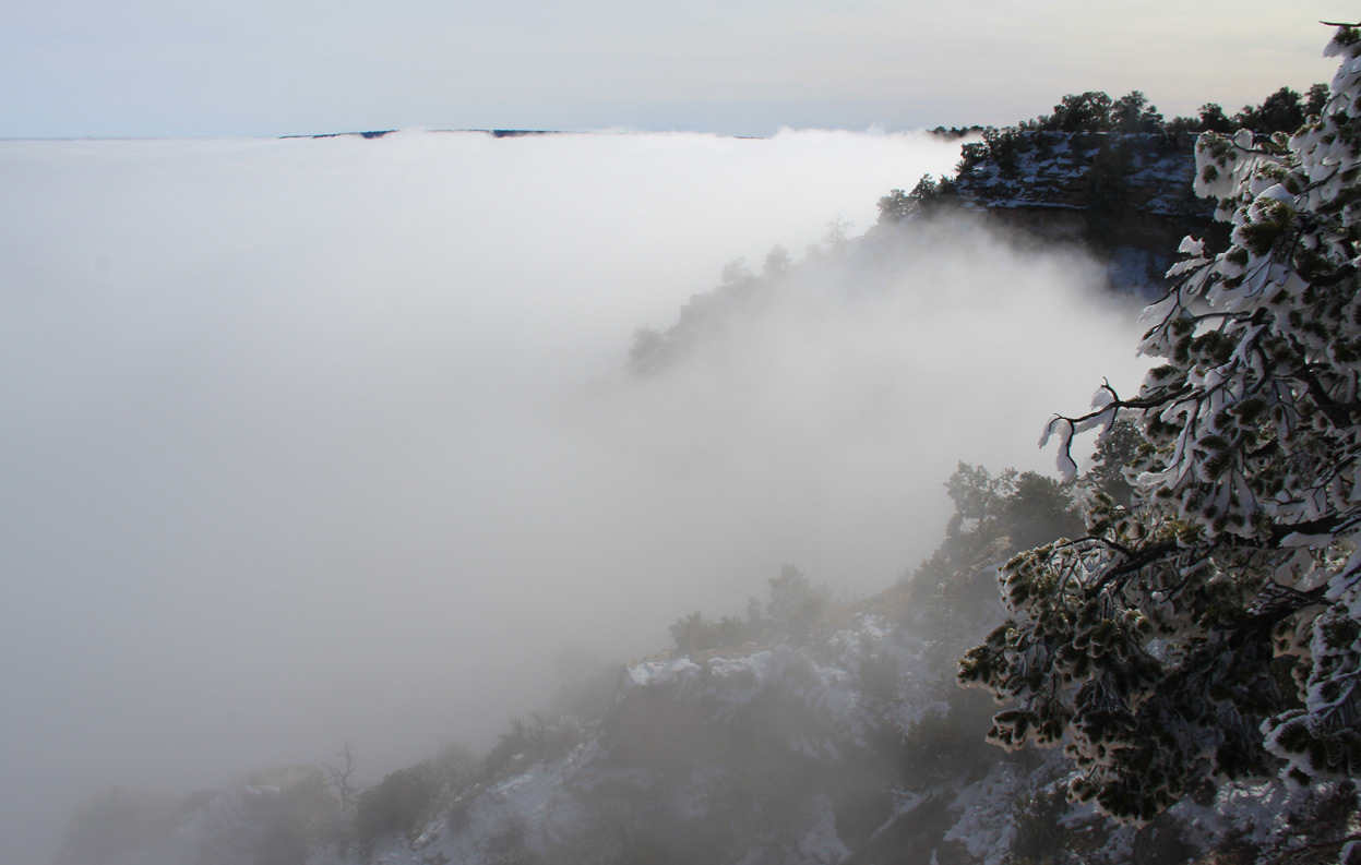 Густой туман в Гранд-Каньоне