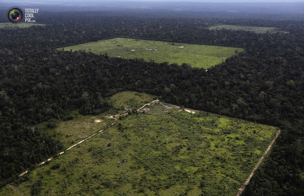 Уничтожение лесов Амазонии