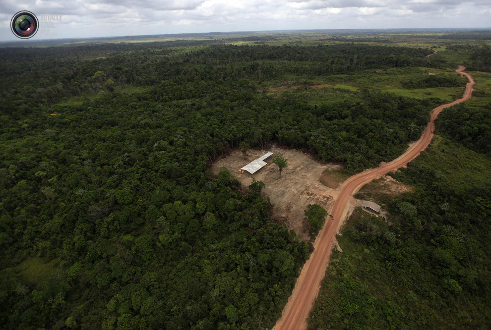 Уничтожение лесов Амазонии