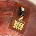 Ученые превратят сердце и легкие в зарядку для мобильника