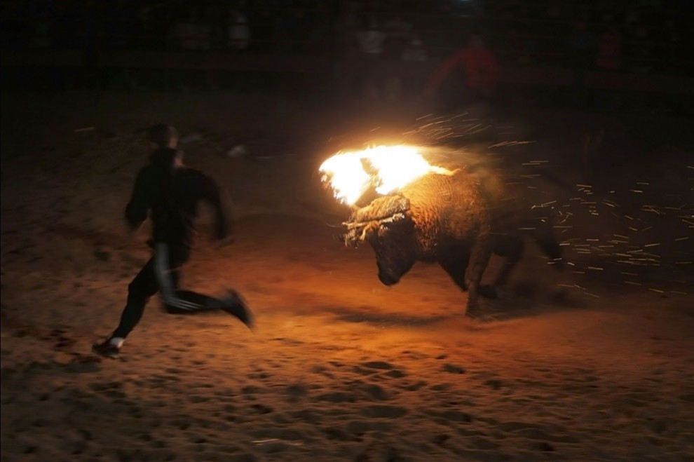 Фестиваль «Toro de Jubilo» («Огненный бык») 