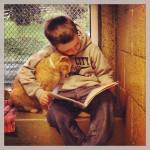 Дети учатся читать, а коты им помогают