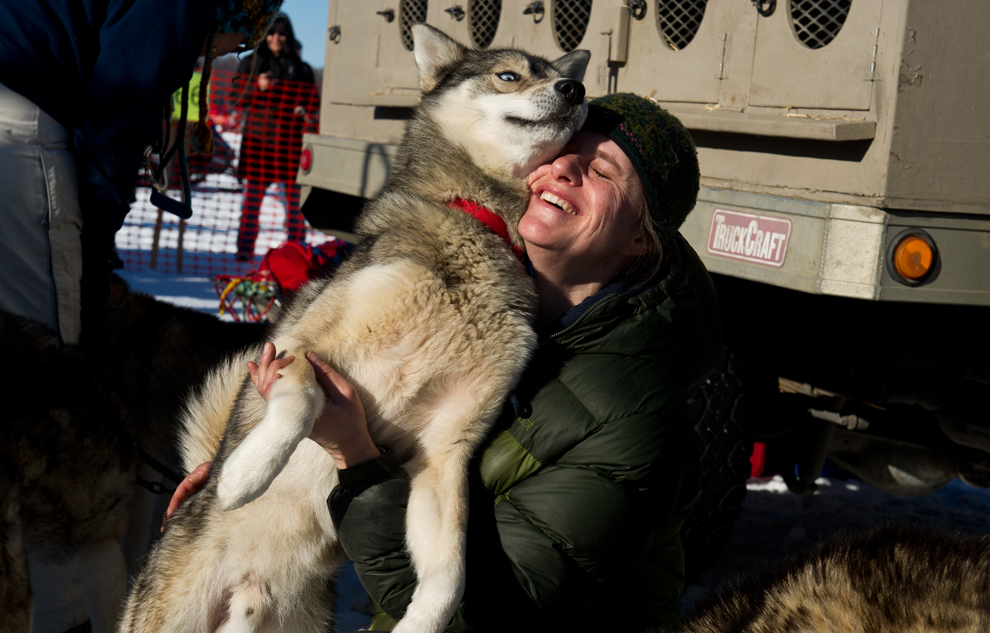 Гонка на собачьих упряжках Iditarod 2014