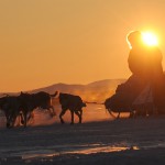 Гонка на собачьих упряжках Iditarod 2014 (продолжение)