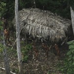 Жизнь индейцев в амазонских джунглях (продолжение)