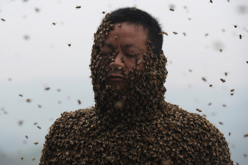 Пчелы на теле