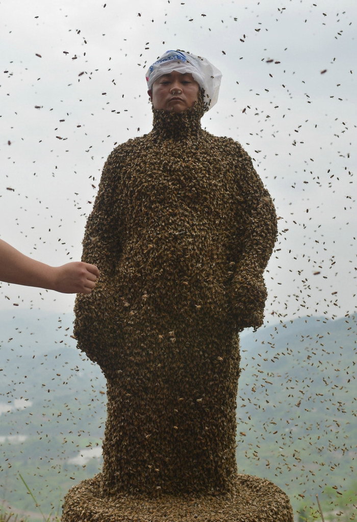 Пчелы на теле