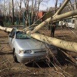 Последствия урагана в Омске