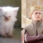 Если бы актеры “Игры престолов” были котами…