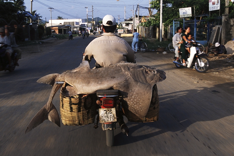 вьетнамские мотоциклисты