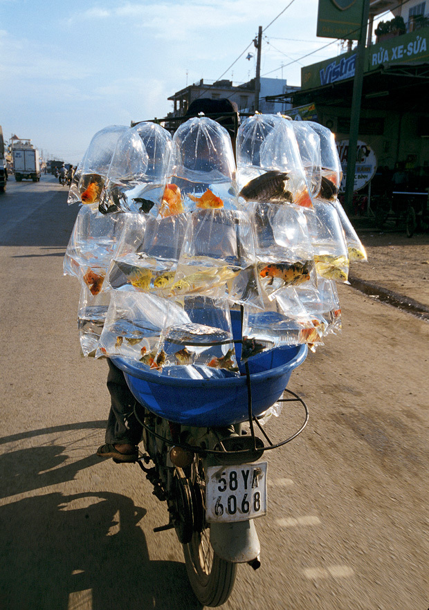 вьетнамские мотоциклисты